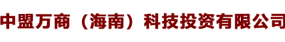 中盟万商（海南）科技投资有限公司